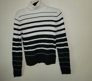 Nine & Co. Black and White Striped Turtleneck Sweater

Bin M